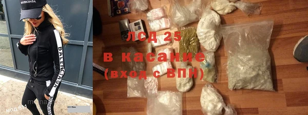 стаф Бородино