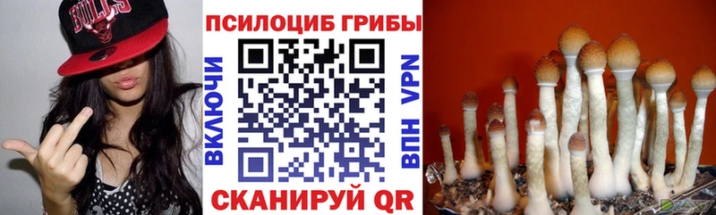 Псилоцибиновые грибы прущие грибы  Купить где  Мурманск 