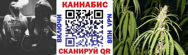 Бошки Шишки план Мурманск